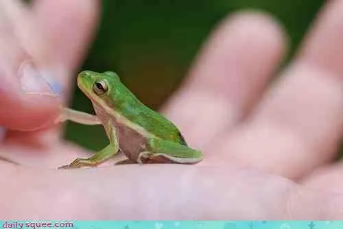 Animaloterapia, motivación animal: Martes de travesuras!