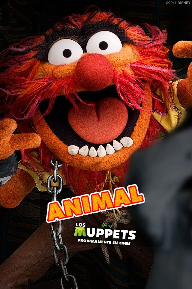 Animals Animal The Muppets Drummer Iphone App Review 480 X 320 50 ...