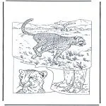 animals coloring pages - Cheetah 1