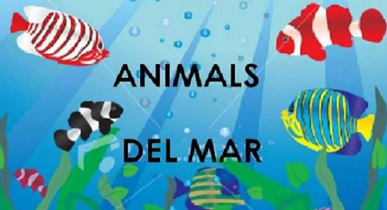 Animals del mar