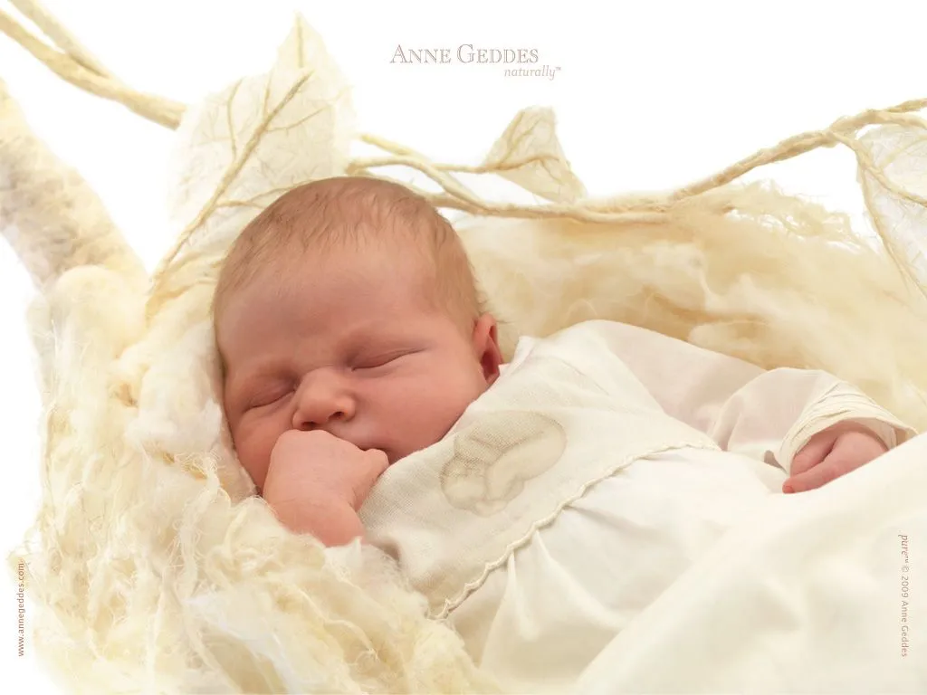 Anne Geddes X Child By 640 480 106 Kb Jpeg Pictures