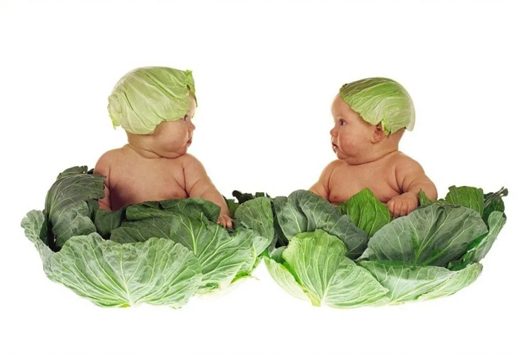 anne geddes ninos | Tener un bebé es facilisimo.