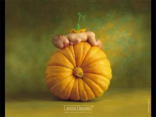 Anne Geddes Classic Screensaver - 6 wysokiej jako?ci zdj?? z ...