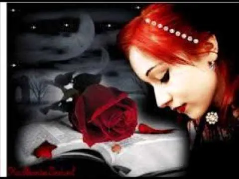 El año en que nevaron estrellas fugaces - WorldNews