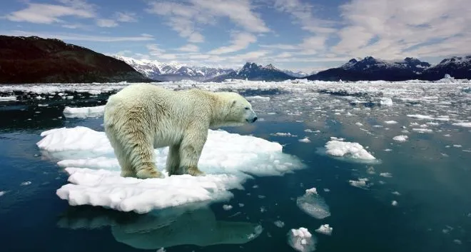 La antártida | Amor al Conocimiento