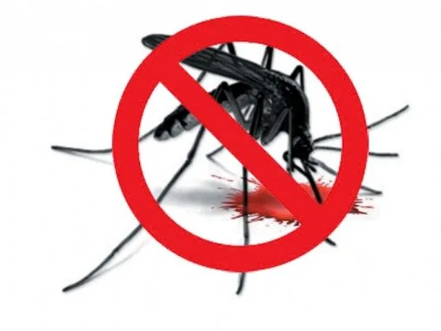 Anti-dengue drive: ICT campaign continues in rural areas – The ...