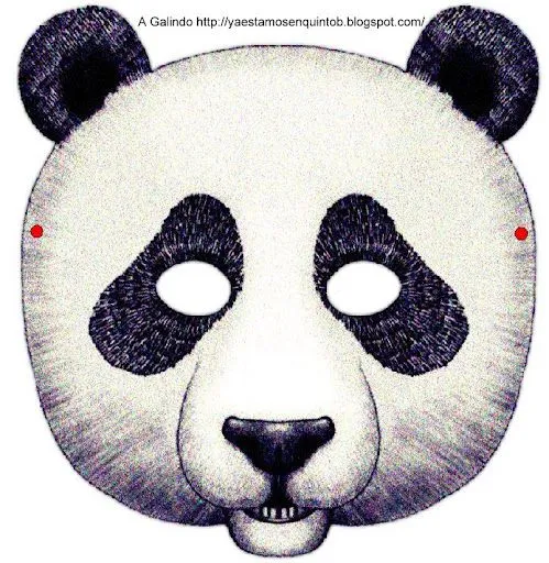 Antifaz de oso panda - Imagui