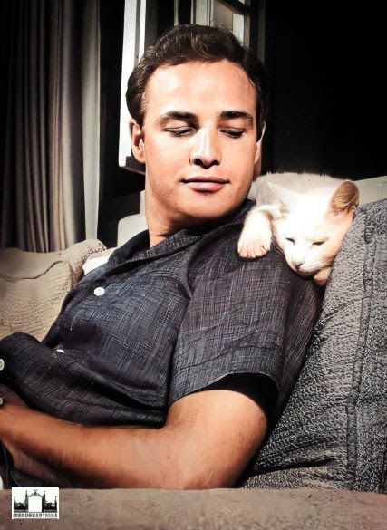 Fotos Antiguas de Mendoza, Argentina y el Mundo de cada década desde 1880: Marlon Brando sonríe a un gato en su casa en Los Ángeles, 1954. Foto de Murray Garrett.
