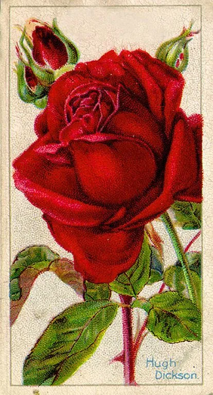 Antique Passion-Láminas Antiguas,Vintage,Retro...y manualidades ...