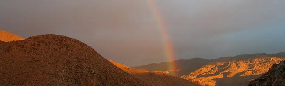 Anza-Borrego Desert SP