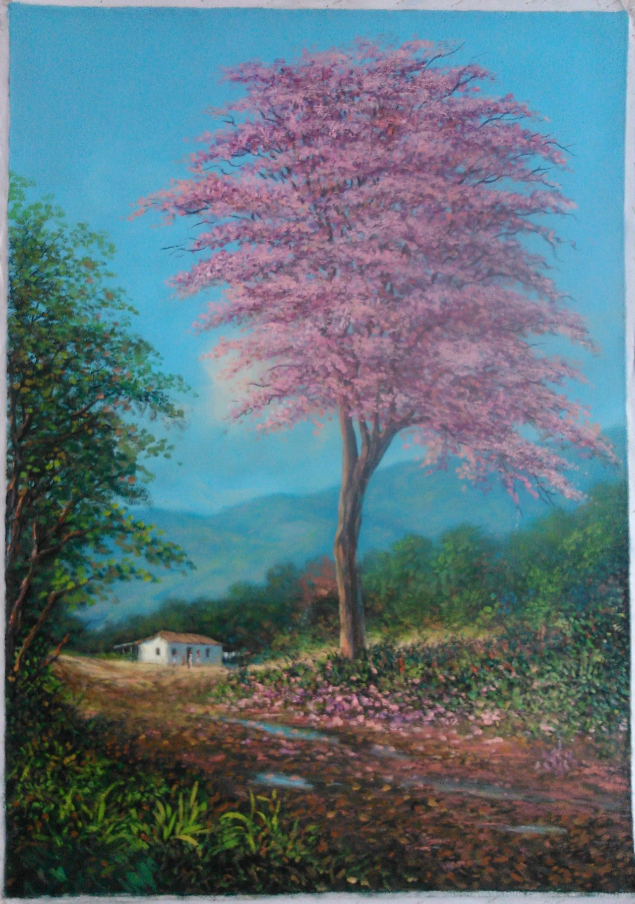 Apamate, cuadro original, Óleo sobre Lienzo, comprar cuadros | Paisaje para  pintar, Paisaje campestre, Paisaje rural