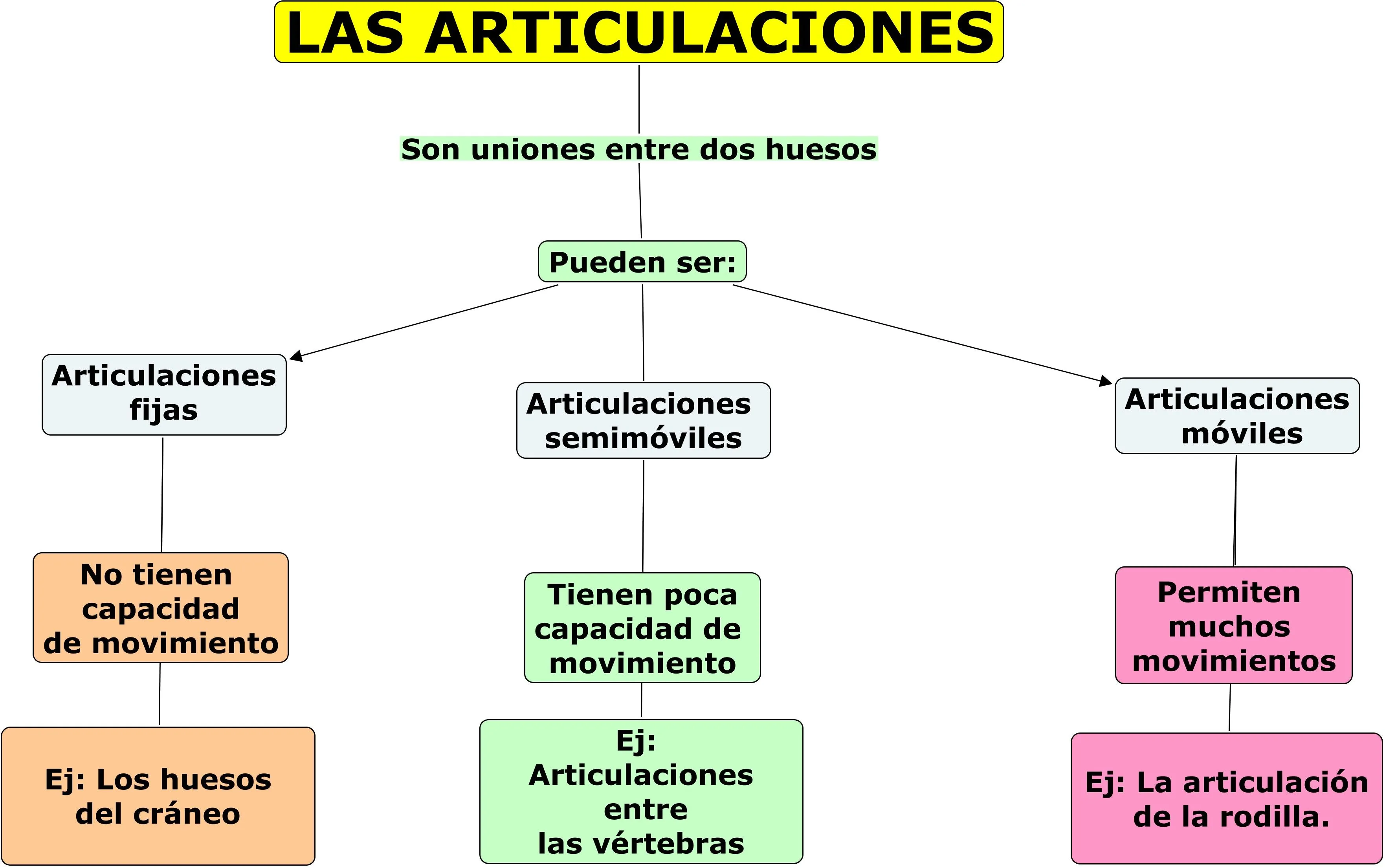 APARATO LOCOMOTOR | JUGANDO Y APRENDIENDO