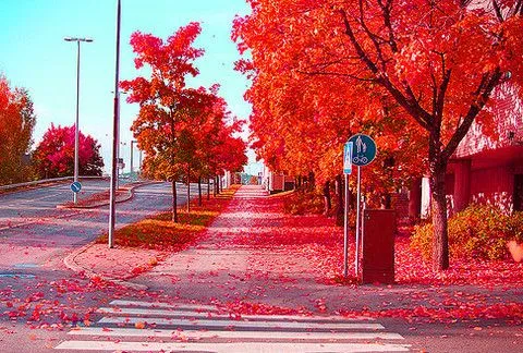 Apoyo mis espaldas -Cuentos de jardín – Paisajes de pasión ...