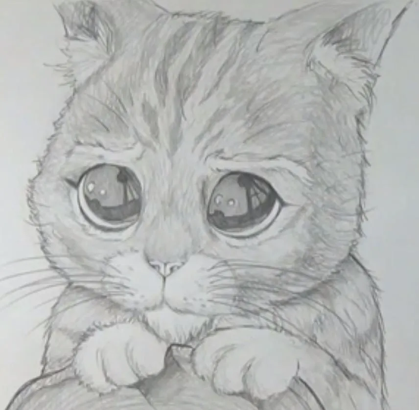 Aprende a dibujar al Gato con Botas de Shrek