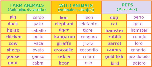 Aprende inglés: Unit 8. Animals (Los animales)