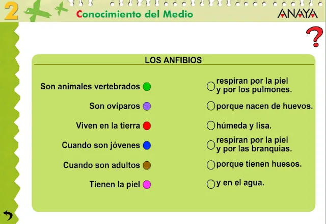 APRENDER ES DIVERTIDO 1º Y 2º: Los anfibios.