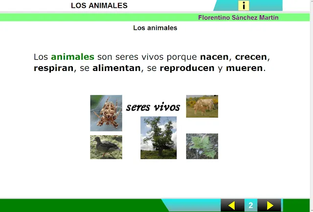 APRENDER ES DIVERTIDO 1º Y 2º: Los animales.