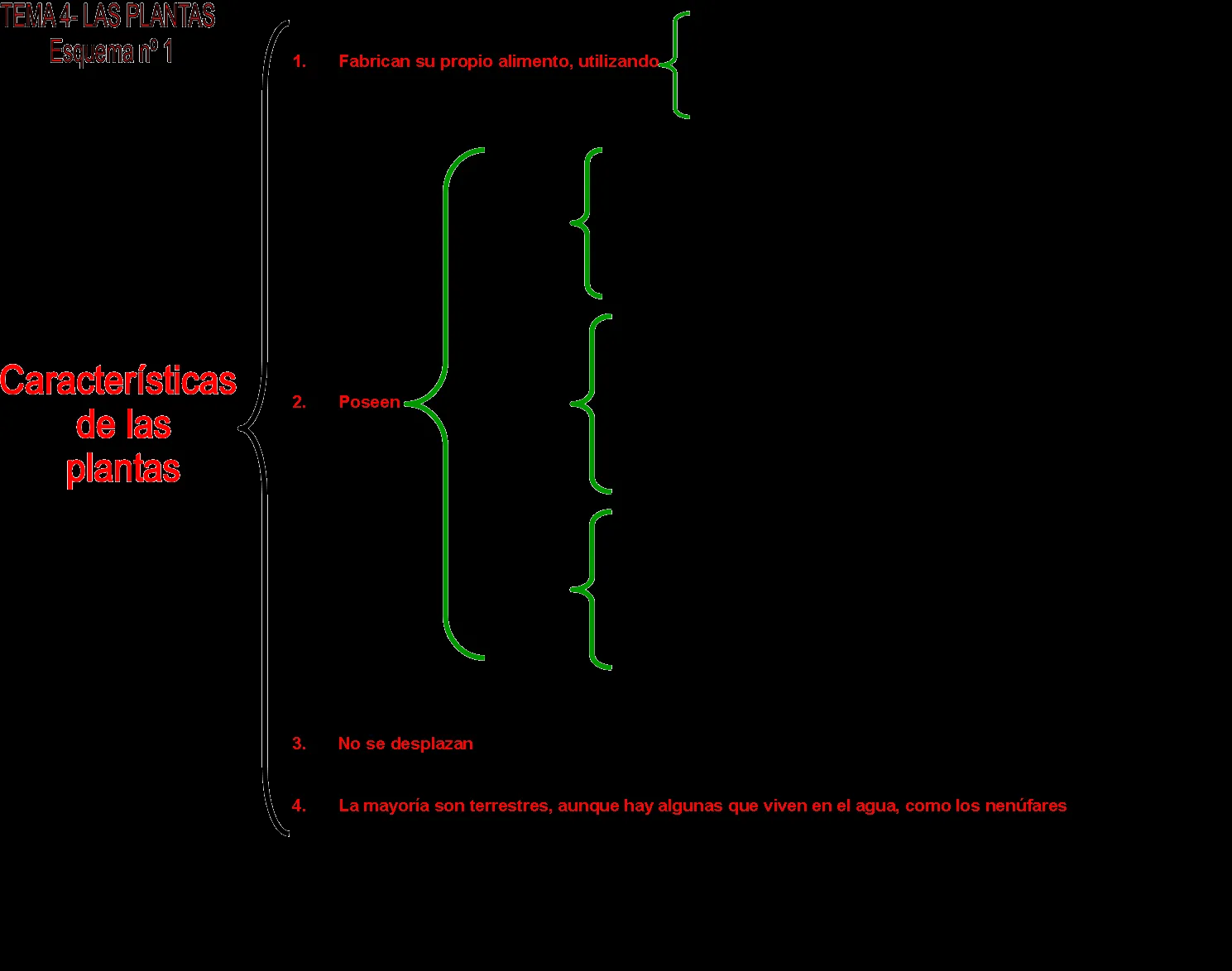 APRENDER ES DIVERTIDO: CARACTERÍSTICAS DE LAS PLANTAS (ESQUEMA)