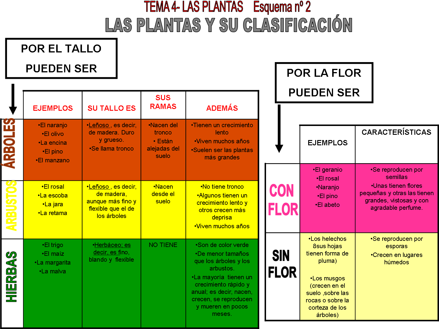 APRENDER ES DIVERTIDO: LAS PLANTAS Y SU CLASIFICACIÓN (