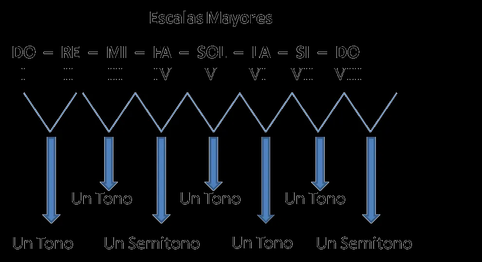 Aprender Música : Escala Musical