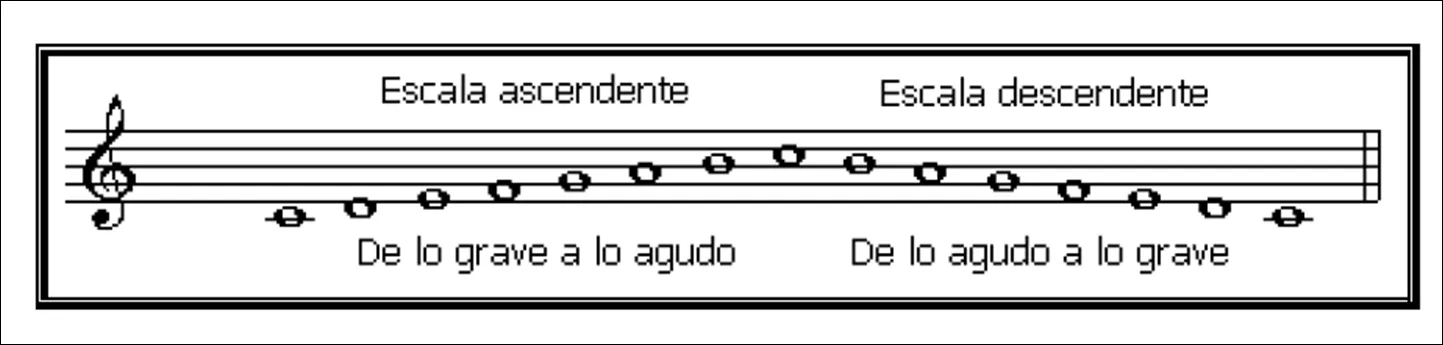 Aprender Música : Escala Musical