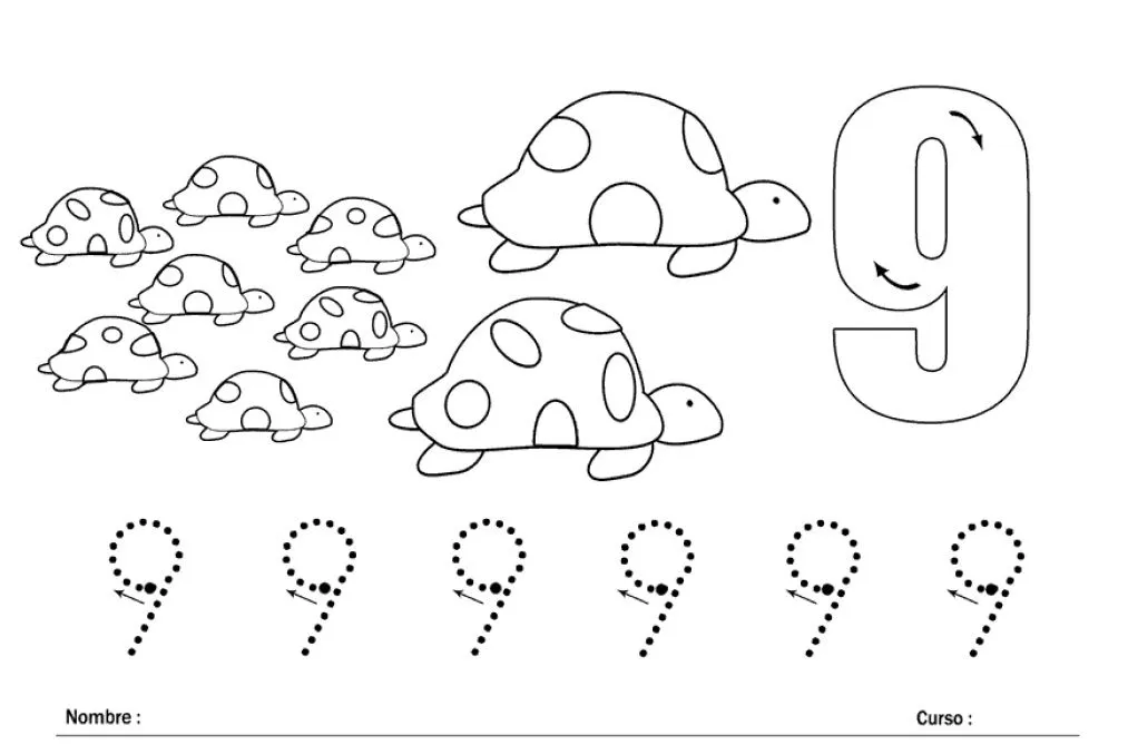 APRENDER LOS NÚMEROS: EL NÚMERO 9 Y LAS TORTUGAS. | WEB PEDAGÓGICA ...
