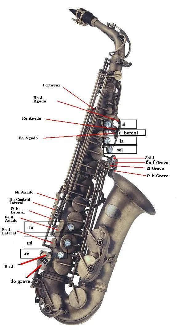  ... aprender Solfeo. ¿Cómo aprender solfeo? Digitación del Saxofón