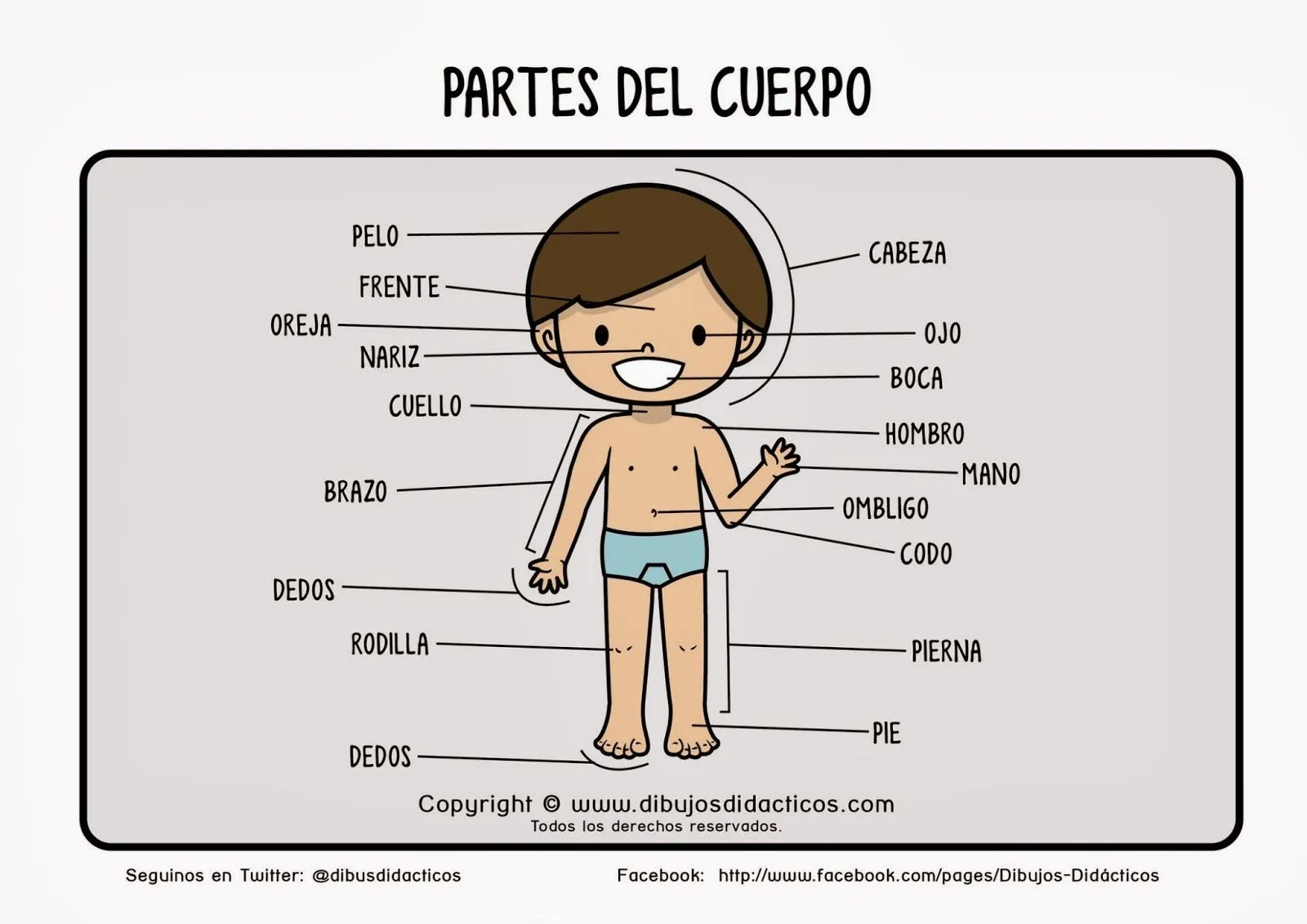 APRENDIENDO CUERPO HUMANO EN EDUCACIÓN INFANTIL