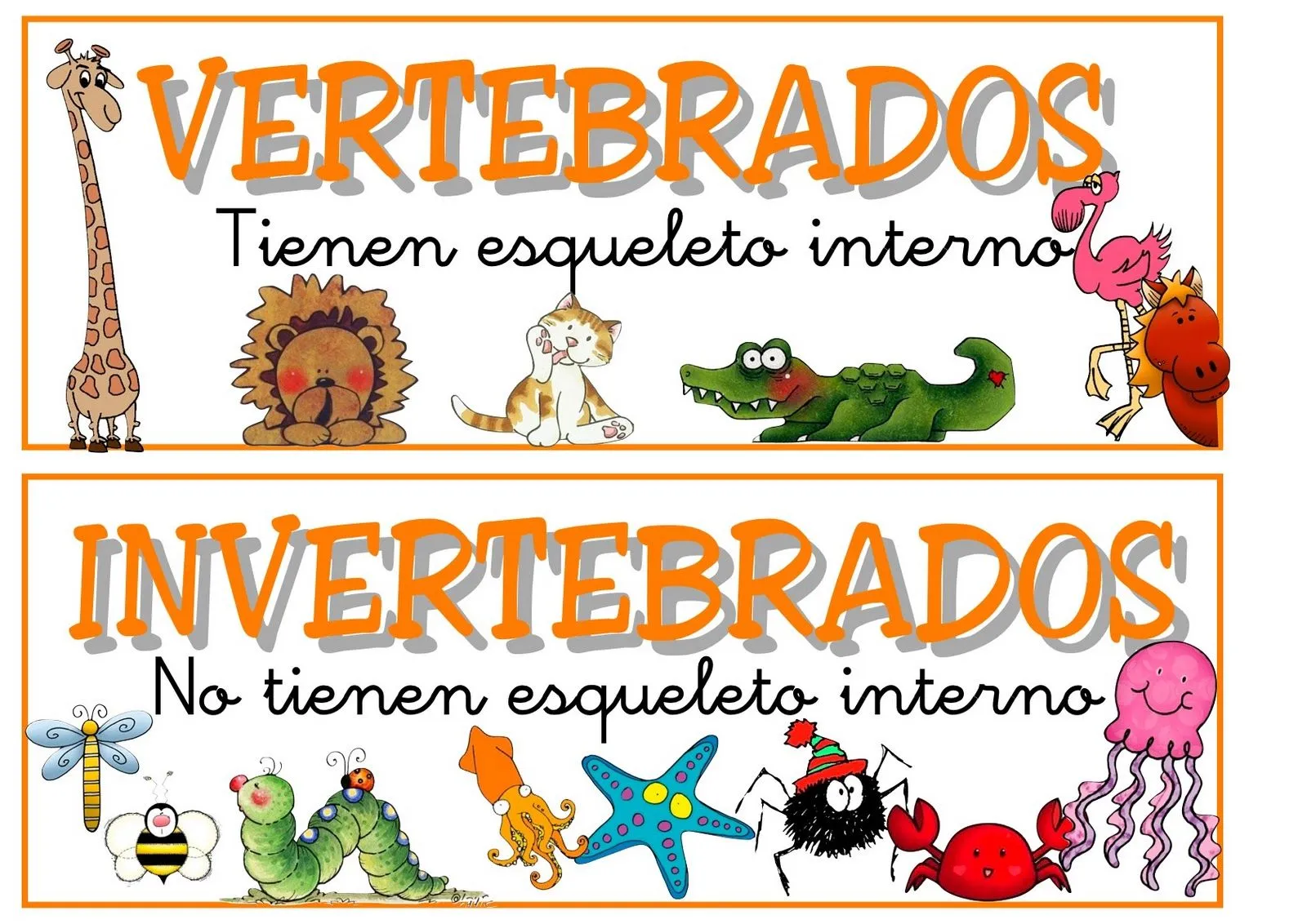 Aprendiendo Juntos: Los animales Vertebrados e Invertebrados