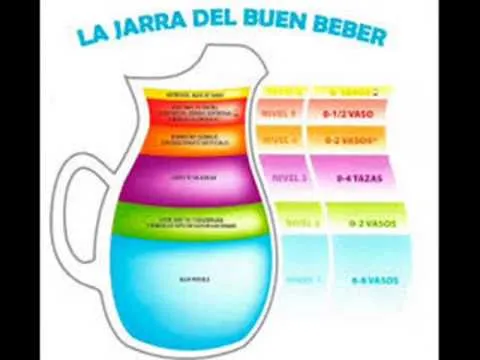 Platodelbuen bebér - Imagui
