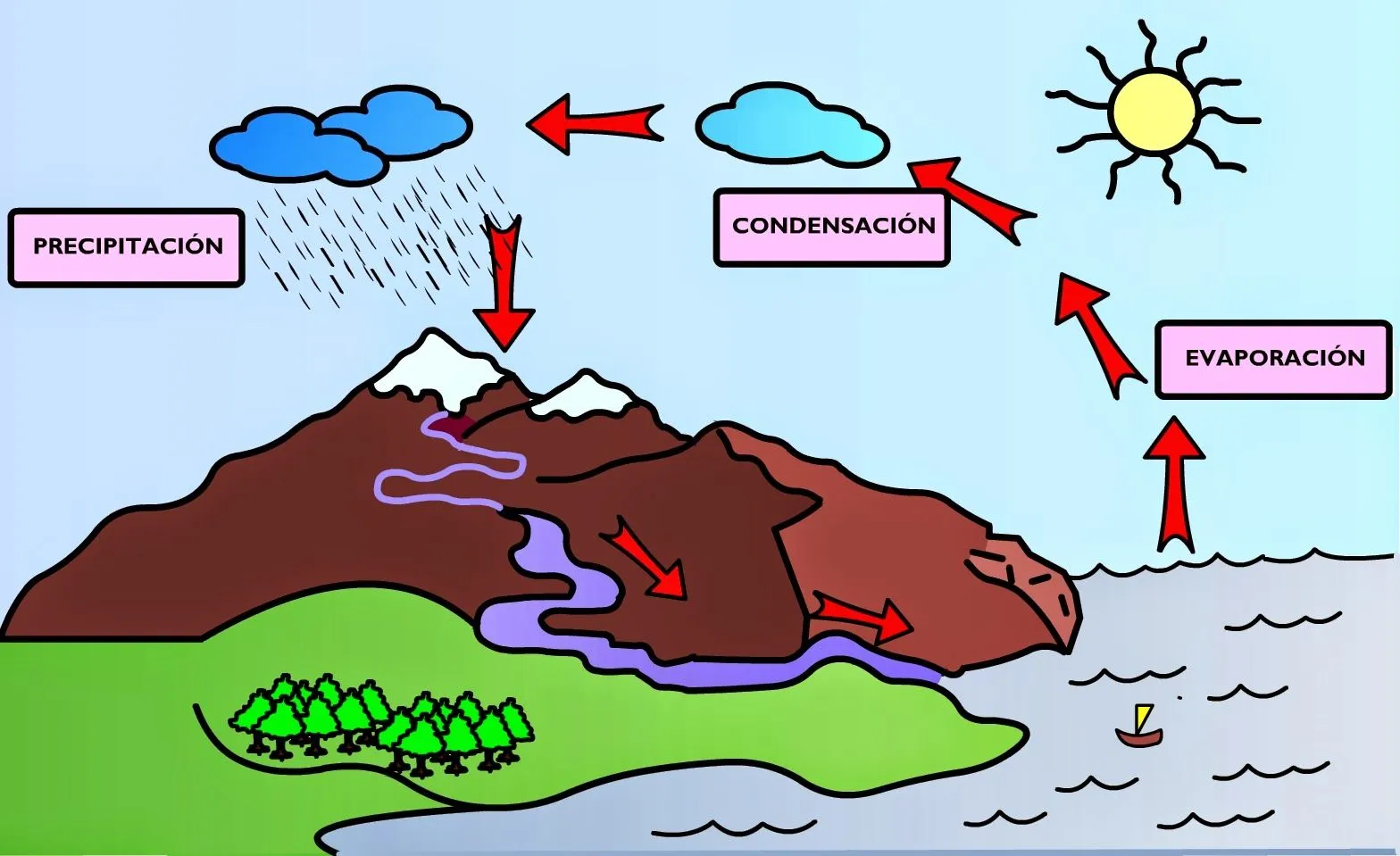 Aprendiendo TIC con el Grupo 7: El ciclo del agua, imagen.