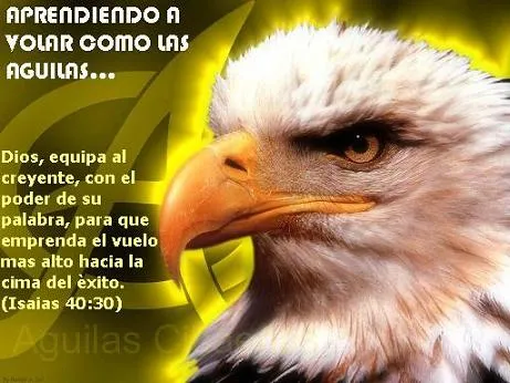 APRENDIENDO A VOLAR COMO LAS AGUILAS"