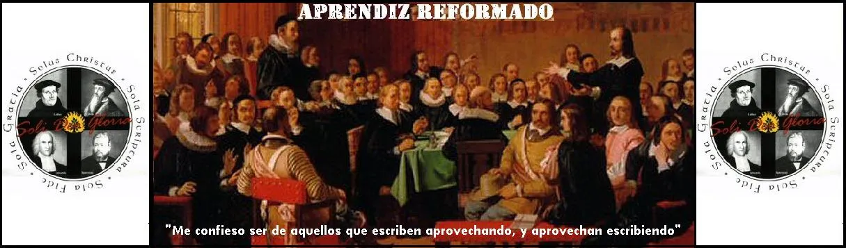 Aprendiz Reformado: Frases y Dichos