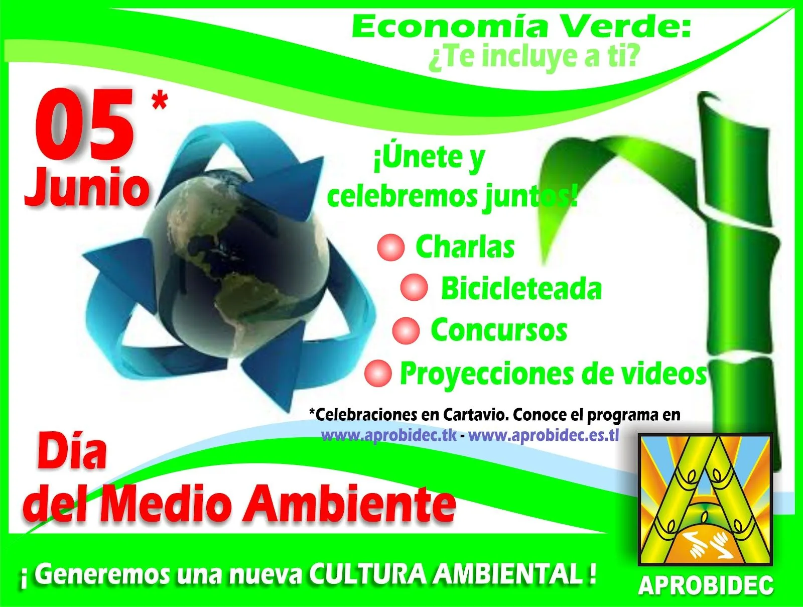 APROBIDEC-PROYECTO PERU: DIA INTERNACIONAL DEL MEDIO AMBIENTE 2012