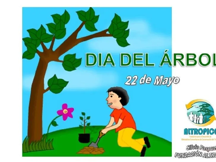 Dia del arbol