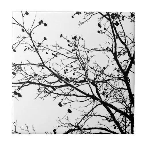 Árbol blanco y negro del invierno tejas | Zazzle