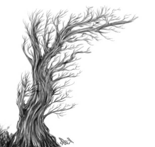 arbol- Boceto by ayuhamland on DeviantArt