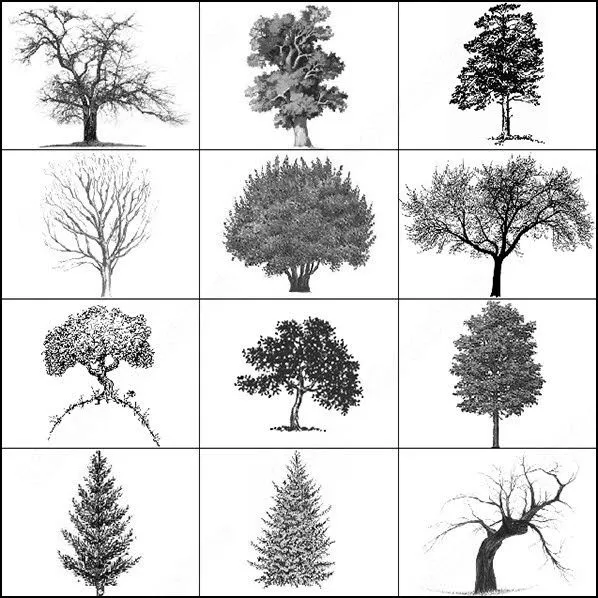 árbol cepillo Photoshop Brushes para su descarga gratuita