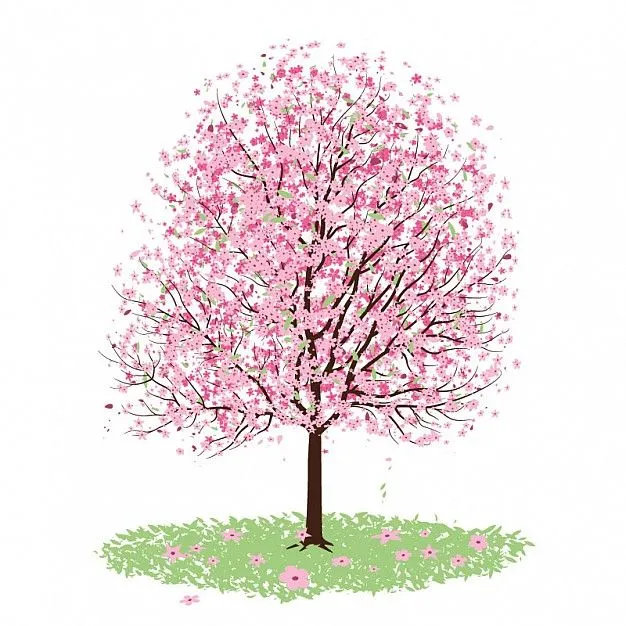 Arbol de cerezo dibujo - Imagui