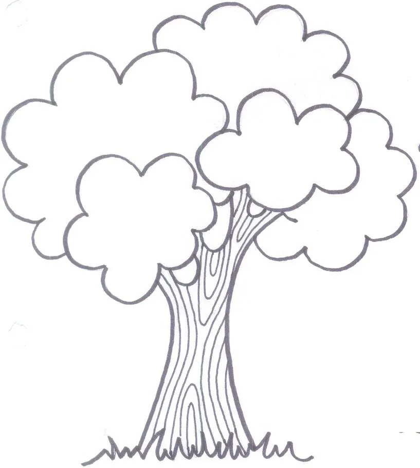 Arbol para colorear infantil - Imagui