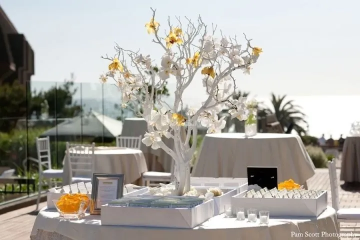 Cómo hacer un árbol de los deseos? | Hacienda Nadales