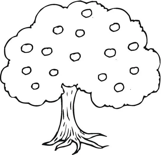 árbol Dibujos Para Colorear | Dibujos Para Colorear Imagen