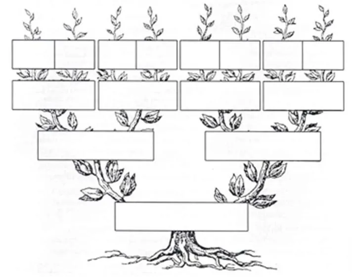 Arbol familiar template - Imagui