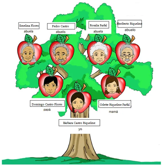 Arbol genealogico animados - Imagui