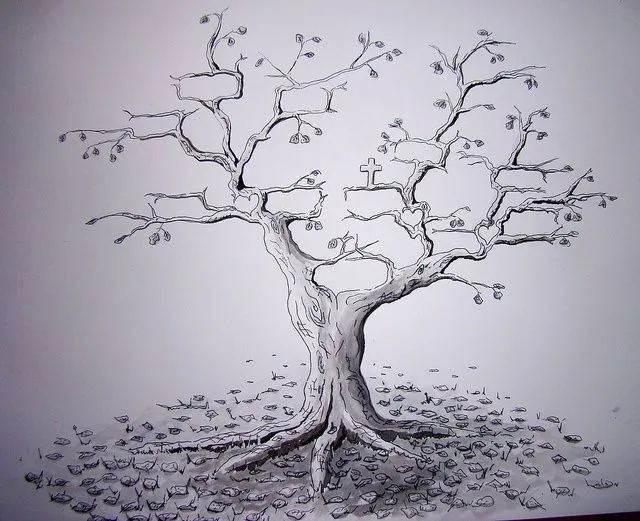 Arbol Genealogico Flickr Photo Sharing | drawing & inspiration ...