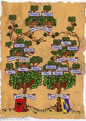 TU ARBOL GENEALOGICO DE HASTA 4 GENERACIONES | eBay