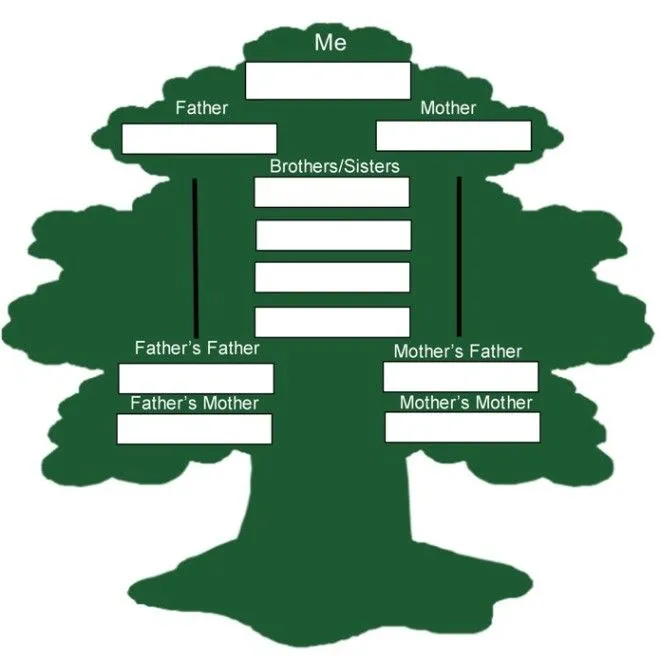 Arbol genealogico en inglés en blanco - Imagui