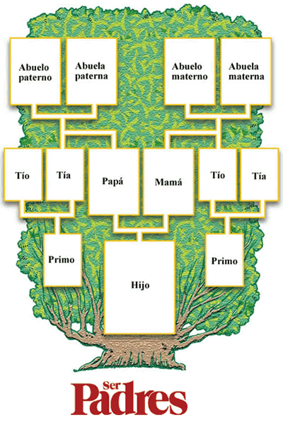 Arbol genealogico | ldereberesfamilia