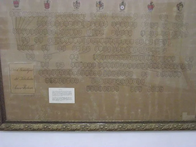 Arbol Genealogico de simon Bolivar - Museo Antropológico Maracay ...