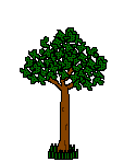 Árbol | Gifs animados